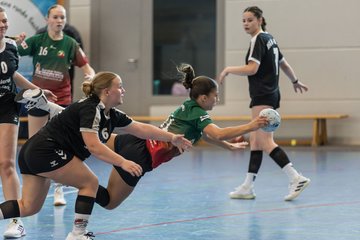 Bild 300 - wBJ HSG Kremperheide/Muensterdorf - HSG Joerl-Doppeleiche Vioel : Ergebnis: 34:23